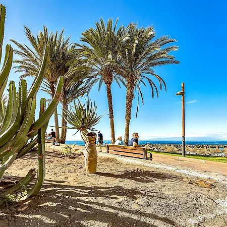 Ocean View Americas Apartment Playa de las Americas (Tenerife)
