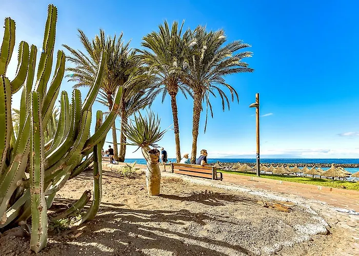 Ocean View Americas Apartament Playa de las Americas (Tenerife)